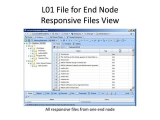 L01 File for End Node
Responsive Files View

All responsive files from one end node

 