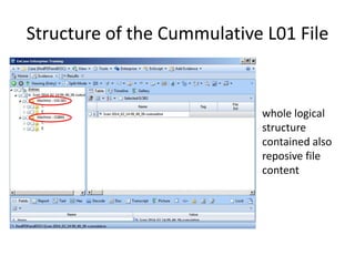 Structure of the Cummulative L01 File

whole logical
structure
contained also
reposive file
content

 