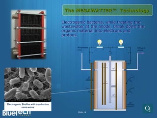 The MEGAWATTER™ Technology

                                       Electrogenic bacteria, while treating the
                                       wastewater at the anode, break-down the
                                       organic material into electrons and
                                       protons




Electrogenic Biofilm with conductive
            nano-wires

                                               Slide 14
 