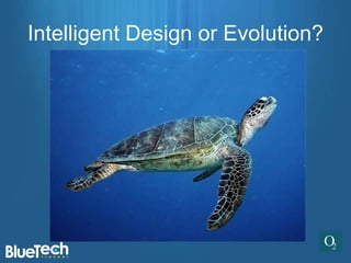 Intelligent Design or Evolution?
 