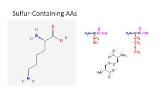 Sulfur-Containing AAs
 