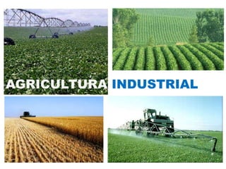 AGRICULTURA INDUSTRIAL




                         11
 