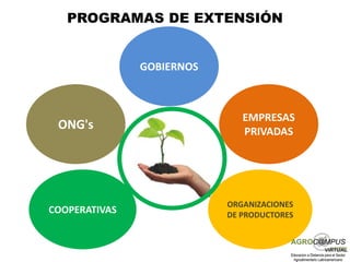 PROGRAMAS DE EXTENSIÓN


               GOBIERNOS



                              EMPRESAS
 ONG's                        PRIVADAS




                           ORGANIZACIONES
COOPERATIVAS               DE PRODUCTORES
 