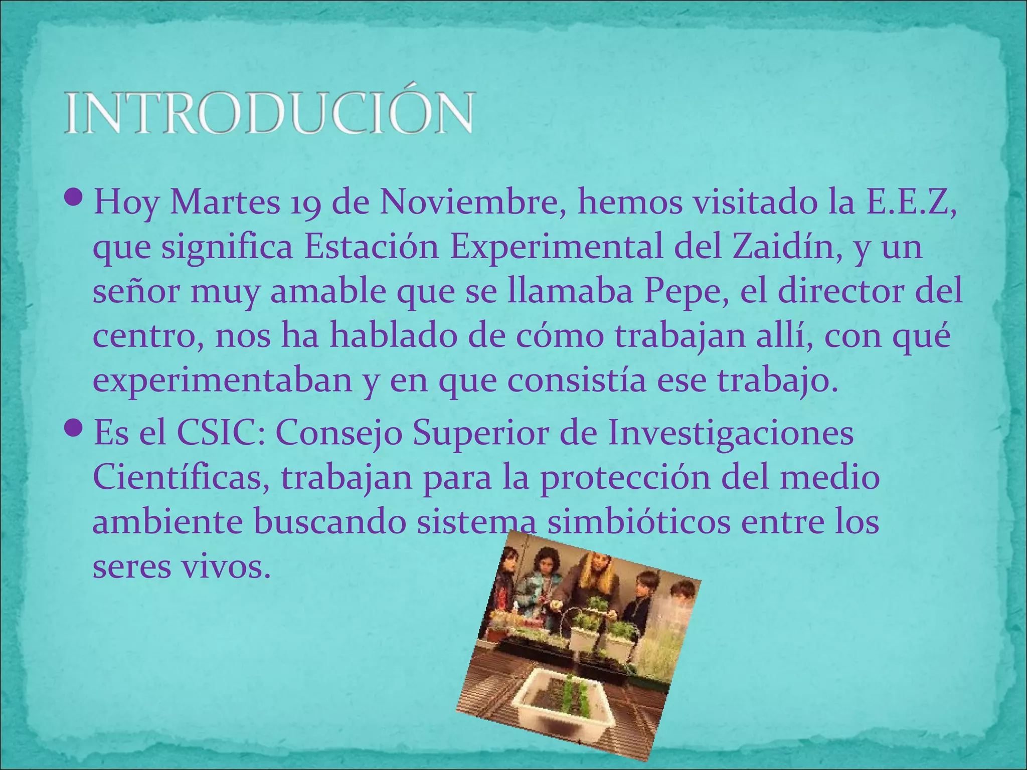 Hoy Martes 19 de Noviembre, hemos visitado la E.E.Z,
que significa Estación Experimental del Zaidín, y un
señor muy amable que se llamaba Pepe, el director del
centro, nos ha hablado de cómo trabajan allí, con qué
experimentaban y en que consistía ese trabajo.
Es el CSIC: Consejo Superior de Investigaciones
Científicas, trabajan para la protección del medio
ambiente buscando sistema simbióticos entre los
seres vivos.