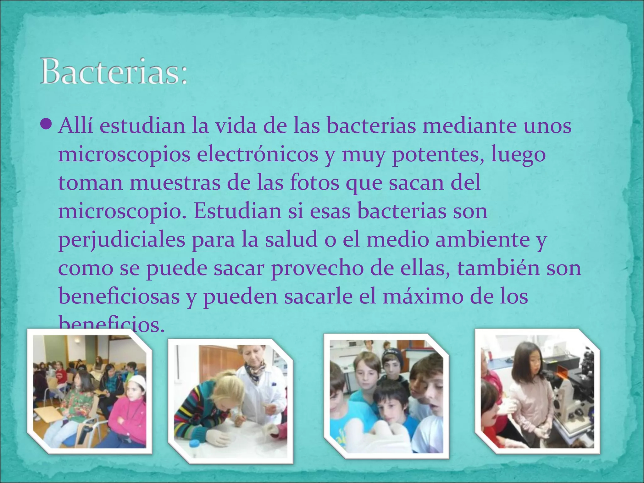 Allí estudian la vida de las bacterias mediante unos
microscopios electrónicos y muy potentes, luego
toman muestras de las fotos que sacan del
microscopio. Estudian si esas bacterias son
perjudiciales para la salud o el medio ambiente y
como se puede sacar provecho de ellas, también son
beneficiosas y pueden sacarle el máximo de los
beneficios.