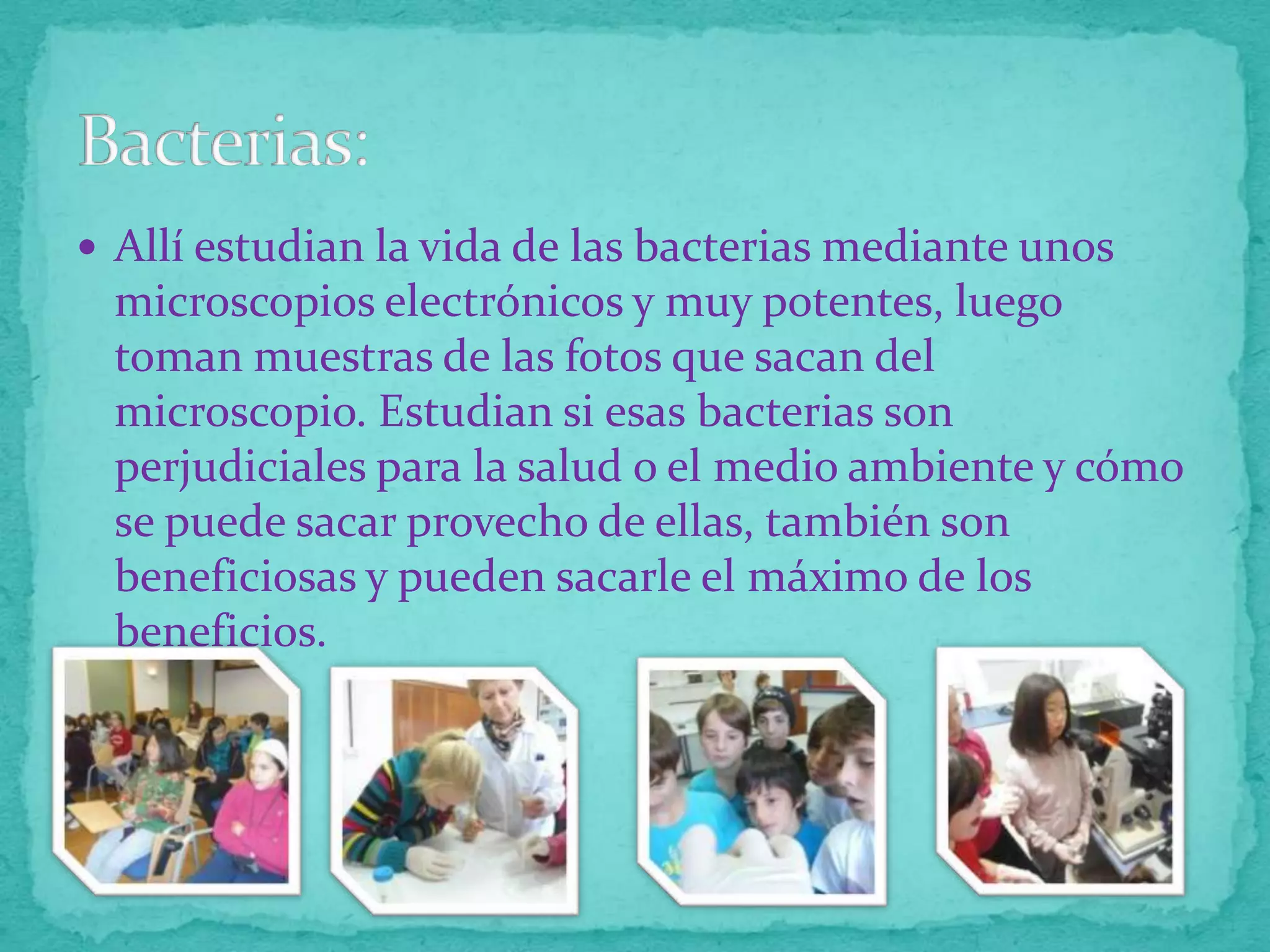  Allí estudian la vida de las bacterias mediante unos

microscopios electrónicos y muy potentes, luego
toman muestras de las fotos que sacan del
microscopio. Estudian si esas bacterias son
perjudiciales para la salud o el medio ambiente y cómo
se puede sacar provecho de ellas, también son
beneficiosas y pueden sacarle el máximo de los
beneficios.

 