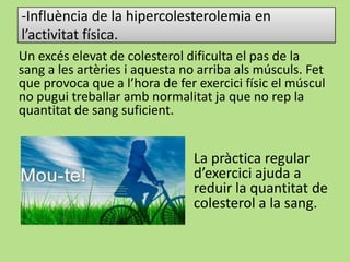 -Influència de la hipercolesterolemia en
l’activitat física.
Un excés elevat de colesterol dificulta el pas de la
sang a les artèries i aquesta no arriba als músculs. Fet
que provoca que a l’hora de fer exercici físic el múscul
no pugui treballar amb normalitat ja que no rep la
quantitat de sang suficient.
La pràctica regular
d’exercici ajuda a
reduir la quantitat de
colesterol a la sang.
 