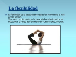  La flexibilidad es la capacidad de realizar un movimiento lo más
amplio posible.
Va a estar condicionada por la capacidad de elasticidad de los
músculos u el rango de movimiento de nuestras articulaciones.
 