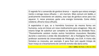 O	segredo	foi	a	conversão	de	gordura	branca	—	aquela	que	estoca	energia	
inerte	e	estraga	nossa	silhueta	—	em	marrom.	Mais	comum	em	bebês,	e	
praticamente	inexistente	em	adultos,	esse	tipo	de	gordura	serve	para	nos	
aquecer.	 E,	 nesse	 processo,	 gasta	 uma	 energia	 tremenda.	 Como	 efeito	
colateral,	afinaria	nossa	silhueta.		
A	 expectativa	 é	 que,	 se	 o	 hormônio	 funcionar	 da	 mesma	 forma	 em	
humanos,	surja	em	breve	um	novo	medicamento	para	emagrecer.	Mas	ele	
estaria	longe	de	substituir	por	completo	os	benefícios	da	atividade	física.	
“Possivelmente	 existem	 muitos	 outros	 hormônios	 musculares	 liberados	
durante	o	exercício	e	ainda	não	descobertos”,	diz	o	fisiologista	Paul	Coen,	
professor	assistente	da	Universidade	de	Pittsburgh,	nos	EUA.	A	irisina	não	
fortalece	 os	 músculos,	 por	 exemplo.	 E	 para	 ficar	 com	 aquele	 tríceps	 de	
fazer	inveja	só	o	levantamento	de	controle	remoto	não	daria	conta.		
LIMA,	F.	Galileu.	São	Paulo,	n.	248,	mar.	2012.		
 