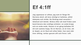 Ef 4:1ff
Jag uppmanar er alltså, jag som är fånge för
Herrens skull, att leva värdigt er kallelse, alltid
ödmjuka och milda. Ha fördrag med varandra i
tålamod och kärlek. Sträva efter att med friden som
band bevara den andliga enheten: en enda kropp
och en enda ande, liksom ni en gång kallades till
ett och samma hopp. En är Herren, en är tron, ett
är dopet, en är Gud och allas fader, han som står
över allting, verkar genom allt och finns i allt.
 