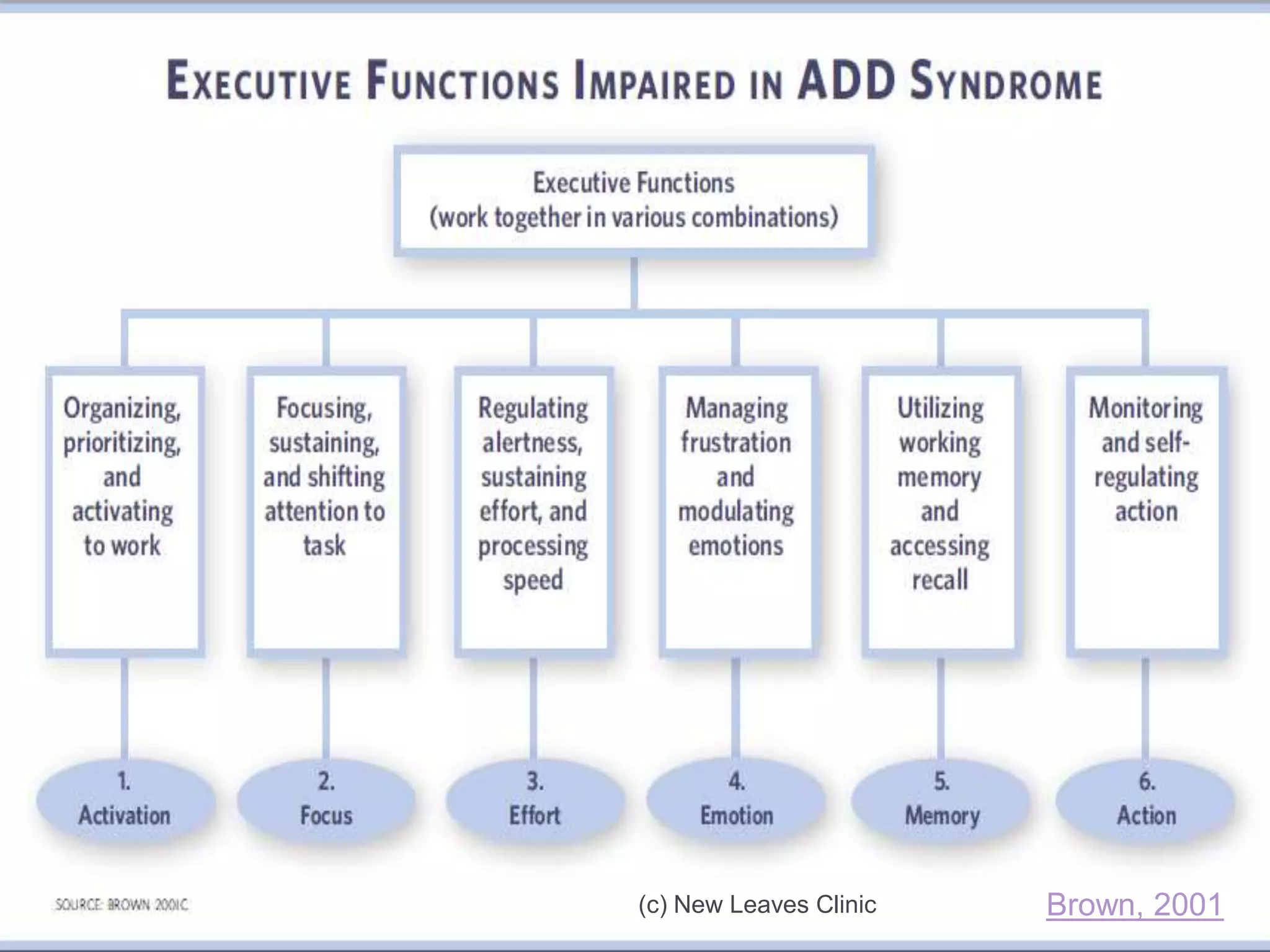 © New Leaves Clinic




(c) New Leaves Clinic        Brown, 2001
 