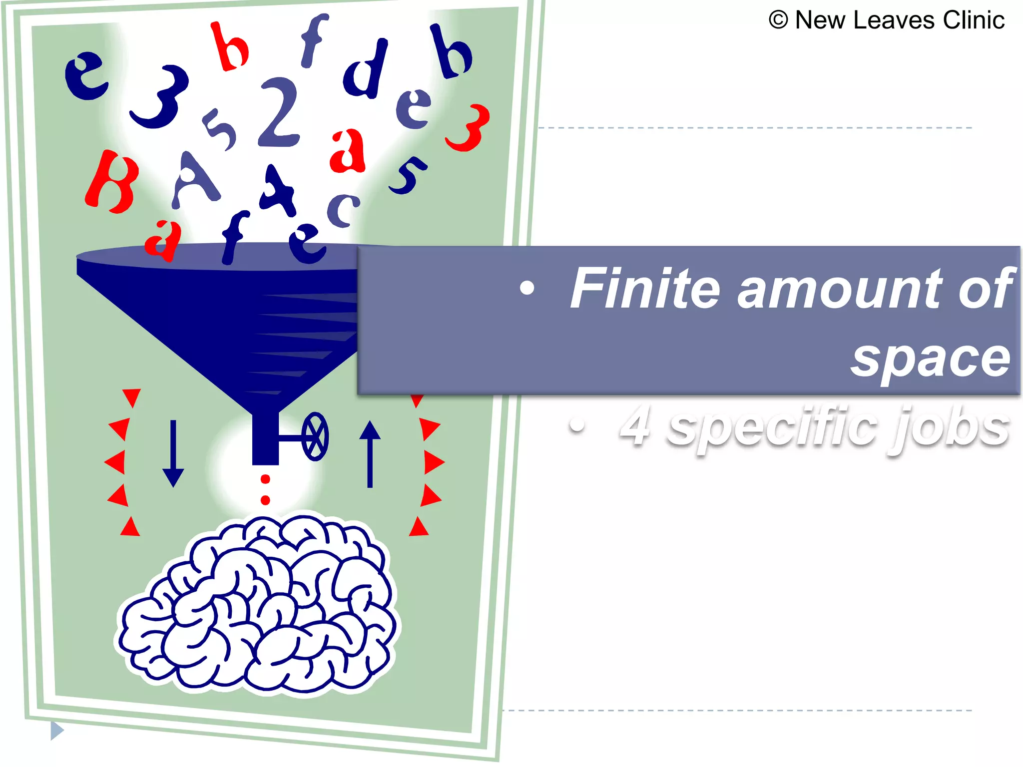 © New Leaves Clinic




• Finite amount of
             space
  • 4 specific jobs
 