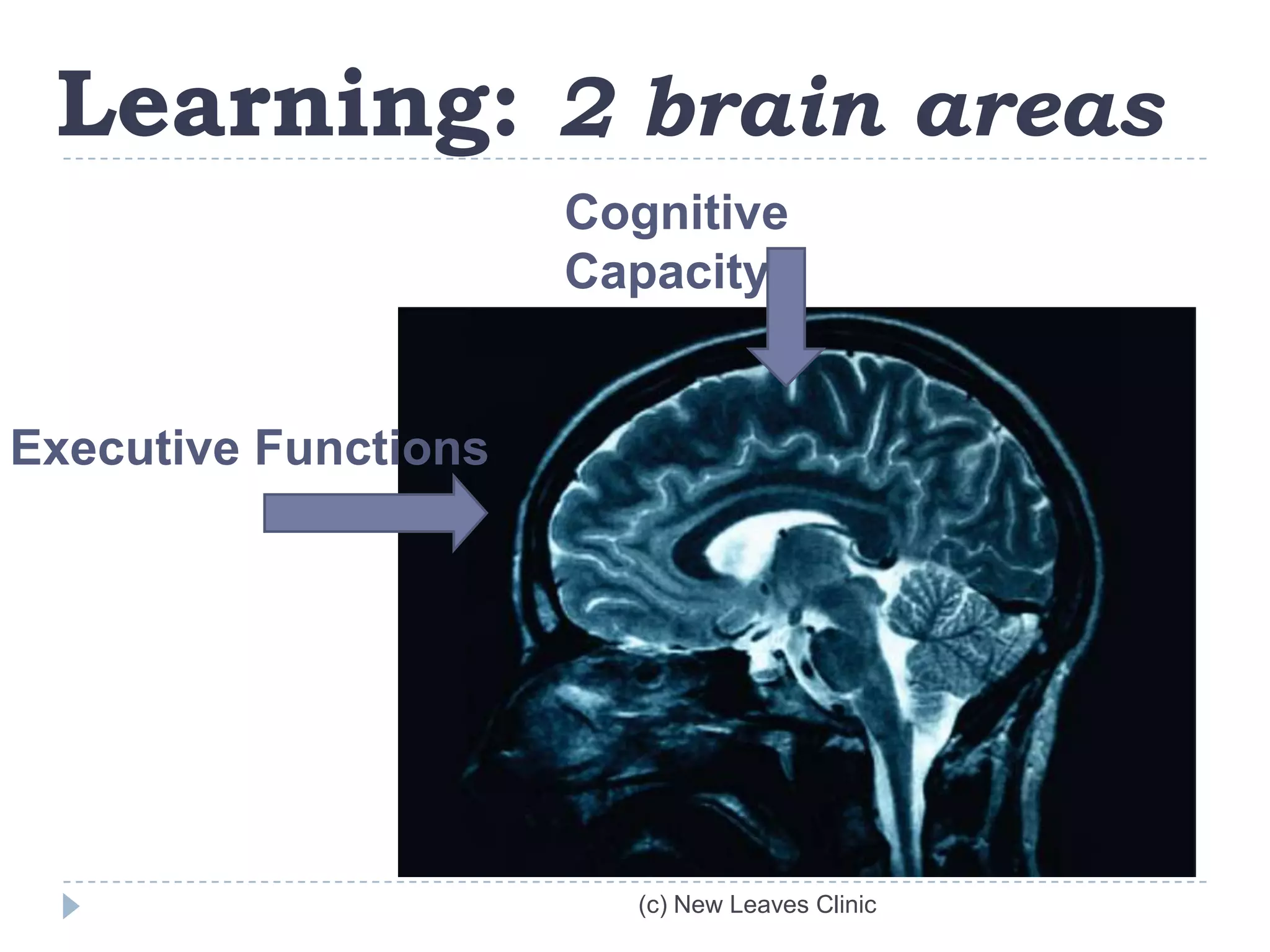 Learning: 2 brain areas
                      Cognitive
                      Capacity


Executive Functions




                        (c) New Leaves Clinic
 