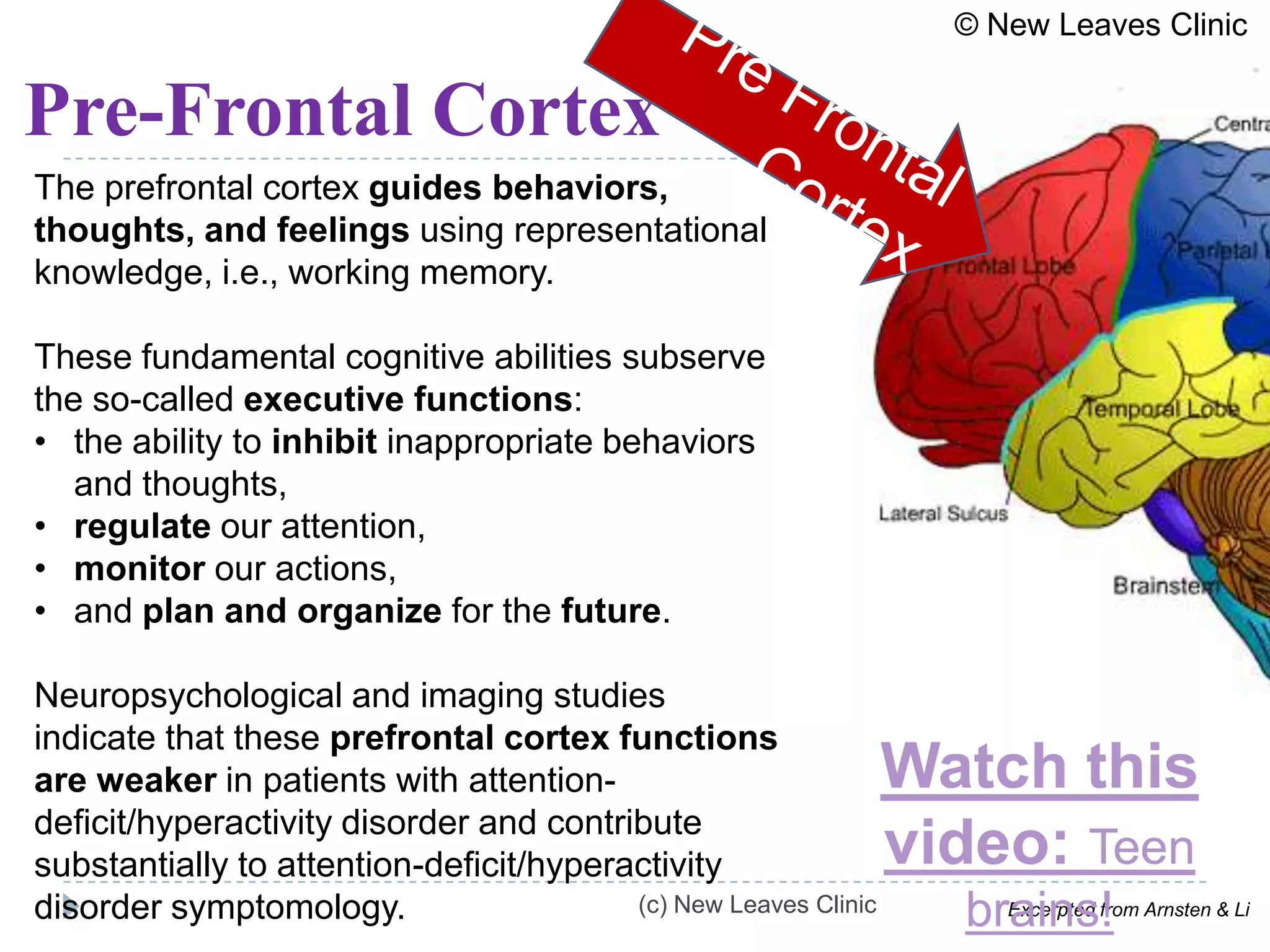 © New Leaves Clinic


Pre-Frontal Cortex
The prefrontal cortex guides behaviors,
thoughts, and feelings using representational
knowledge, i.e., working memory.

These fundamental cognitive abilities subserve
the so-called executive functions:
• the ability to inhibit inappropriate behaviors
   and thoughts,
• regulate our attention,
• monitor our actions,
• and plan and organize for the future.

Neuropsychological and imaging studies
indicate that these prefrontal cortex functions
are weaker in patients with attention-                           Watch this
deficit/hyperactivity disorder and contribute
substantially to attention-deficit/hyperactivity                 video: Teen
disorder symptomology.                   (c) New Leaves Clinic
                                                                   brains!
                                                                      Excerpted from Arnsten & Li
 