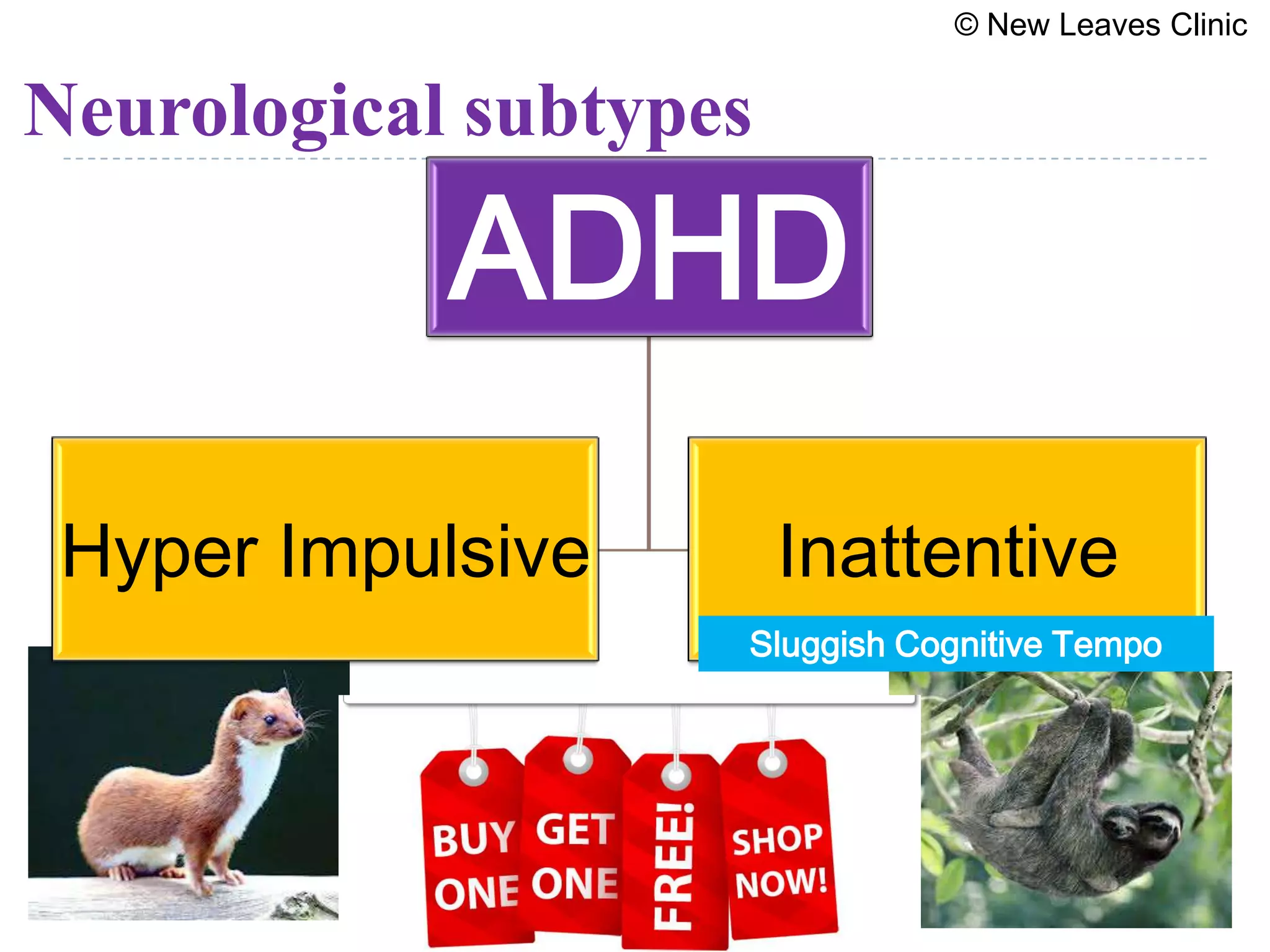 © New Leaves Clinic


Neurological subtypes

            ADHD
 Hyper Impulsive        Inattentive
                    Sluggish Cognitive Tempo
 