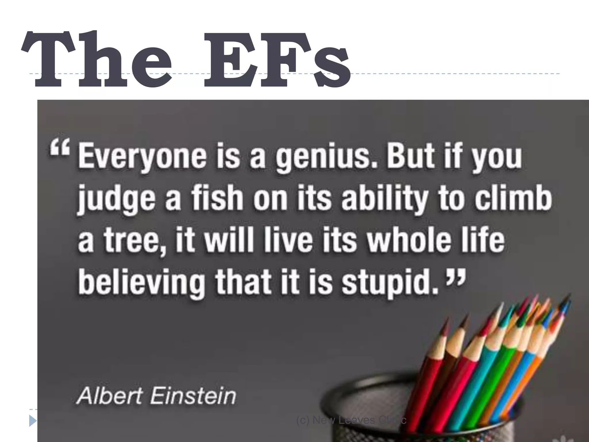 The EFs



     (c) New Leaves Clinic
 