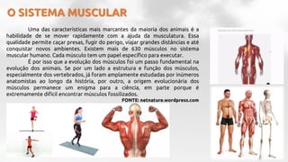 O SISTEMA MUSCULAR
Uma das características mais marcantes da maioria dos animais é a
habilidade de se mover rapidamente com a ajuda da musculatura. Essa
qualidade permite caçar presas, fugir do perigo, viajar grandes distâncias e até
conquistar novos ambientes. Existem mais de 630 músculos no sistema
muscular humano. Cada músculo tem um papel específico para executar.
É por isso que a evolução dos músculos foi um passo fundamental na
evolução dos animais. Se por um lado a estrutura e função dos músculos,
especialmente dos vertebrados, já foram amplamente estudadas por inúmeros
anatomistas ao longo da história, por outro, a origem evolucionária dos
músculos permanece um enigma para a ciência, em parte porque é
extremamente difícil encontrar músculos fossilizados.
FONTE: netnature.wordpress.com
 