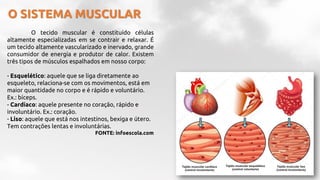 O SISTEMA MUSCULAR
O tecido muscular é constituído células
altamente especializadas em se contrair e relaxar. É
um tecido altamente vascularizado e inervado, grande
consumidor de energia e produtor de calor. Existem
três tipos de músculos espalhados em nosso corpo:
- Esquelético: aquele que se liga diretamente ao
esqueleto, relaciona-se com os movimentos, está em
maior quantidade no corpo e é rápido e voluntário.
Ex.: bíceps.
- Cardíaco: aquele presente no coração, rápido e
involuntário. Ex.: coração.
- Liso: aquele que está nos intestinos, bexiga e útero.
Tem contrações lentas e involuntárias.
FONTE: infoescola.com
 