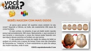 BEBÊS NASCEM COM MAIS OSSOS
Já parou para pensar em quantos ossos existem no seu
corpo? Segundo a Ciência, ao todo, são exatamente 206 ossos do
corpo humano.
O mais curioso, no entanto, é que um bebê recém nascido
possui aproximadamente 300 ossos. Basicamente, o que acontece é
que durante o crescimento, o corpo da criança acaba fazendo com
que alguns desses ossinhos se fundam uns aos outros.
E, são exatamente o ossos da região da cabeça do bebê se
acabam se unindo com o passar do tempo. Esses osso são chamados
de fontanelas ou “moleiras” e ficam exatamente no poto da cabeça
dos recém-nascidos, onde é mole.
FONTE: segredosdomundo.r7.com
 
