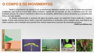 O CORPO E OS MOVIMENTOS
Medir o crescimento de plantas é um procedimento bastante simples que pode ser feito sem grandes
problemas, mas você precisará fazer várias medições rápidas em um período de dias ou semanas para ter uma
avaliação precisa. Se a ideia é monitorar a diferença de tamanho, determinar a altura da planta ou o tamanho das
folhas são boas opções.
Se deseja compreender o acúmulo de água da planta, pesar um espécime fresco pode ser a melhor
opção. O jeito mais preciso de se medir a taxa de crescimento é conhecido como medição seca, mas fazê-la vai
matar a planta. Use a medição seca quando tiver muitos espécimes e precisar de resultados precisos.
FONTE: pt.wikihow.com
Largura
Comprimento
 