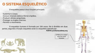 O SISTEMA ESQUELÉTICO
O esqueleto possui cinco funções principais:
- Sustentar o corpo.
- Estocar minerais (cálcio e ferro) e lipídios.
- Produzir células sanguíneas.
- Proteger os órgãos internos.
- Permitir o movimento.
O esqueleto humano é formado por 206 ossos. Ele é dividido em duas
partes, segundo a função: esqueleto axial e o esqueleto apendicular.
FONTE: pt.khanacademy.org
O fêmur é o maior
osso do corpo
humano.
 
