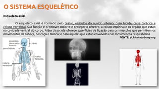 O SISTEMA ESQUELÉTICO
Esqueleto axial
O esqueleto axial é formado pelo crânio, ossículos do ouvido interno, osso hioide, caixa torácica e
coluna vertebral. Sua função é promover suporte e proteger o cérebro, a coluna espinhal e os órgãos que estão
na cavidade ventral do corpo. Além disso, ele oferece superfícies de ligação para os músculos que permitem os
movimentos da cabeça, pescoço e tronco; e para aqueles que estão envolvidos nos movimentos respiratórios.
FONTE: pt.khanacademy.org
 