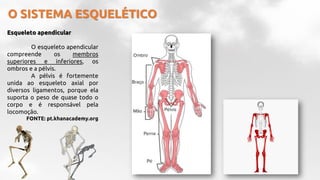 O SISTEMA ESQUELÉTICO
Esqueleto apendicular
O esqueleto apendicular
compreende os membros
superiores e inferiores, os
ombros e a pélvis.
A pélvis é fortemente
unida ao esqueleto axial por
diversos ligamentos, porque ela
suporta o peso de quase todo o
corpo e é responsável pela
locomoção.
FONTE: pt.khanacademy.org
 