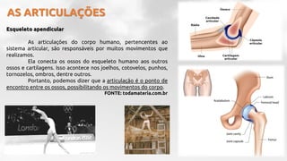 AS ARTICULAÇÕES
Esqueleto apendicular
As articulações do corpo humano, pertencentes ao
sistema articular, são responsáveis por muitos movimentos que
realizamos.
Ela conecta os ossos do esqueleto humano aos outros
ossos e cartilagens. Isso acontece nos joelhos, cotovelos, punhos,
tornozelos, ombros, dentre outros.
Portanto, podemos dizer que a articulação é o ponto de
encontro entre os ossos, possibilitando os movimentos do corpo.
FONTE: todamateria.com.br
 