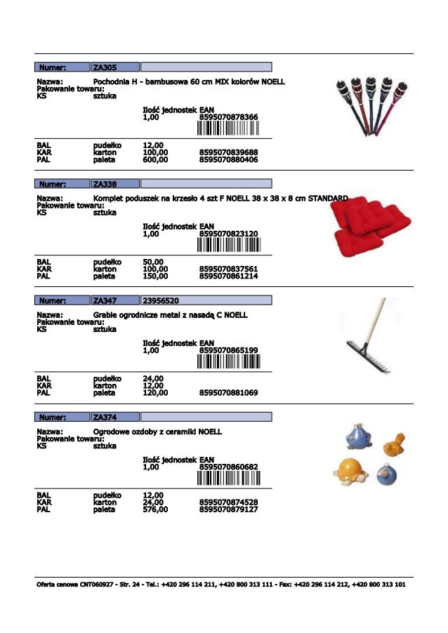 Noell A S Offer For Ahold