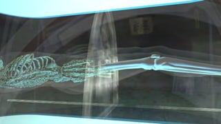 3D High-res stills & 3D Animation