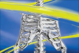 3D High-res stills & 3D Animation