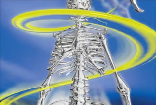 3D High-res stills & 3D Animation