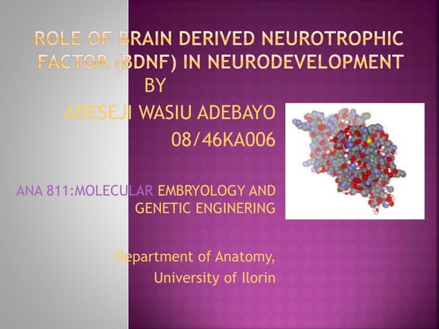 Role of Brain Derived Neurotrophic Factor (BDNF) in NEURODEVELOPMENT ...