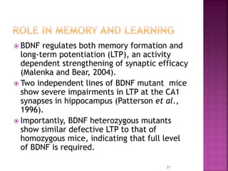 Role of Brain Derived Neurotrophic Factor (BDNF) in NEURODEVELOPMENT | PPTX