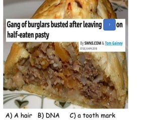 ?
A) A hair B) DNA C) a tooth mark
 