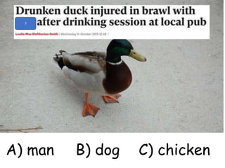 ?
A) man B) dog C) chicken
 