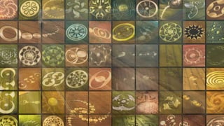 What geometric shapes are most
commonly seen in crop patterns?
A) Circles
B)Triangles
C) Squares
 