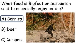 What food is Bigfoot or Sasquatch
said to especially enjoy eating?
A) Berries
B) Deer
C) Campers
 