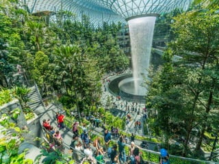 What unusual feature can you find at Singapore Changi
Airport?
a. A butterfly garden
b. An indoor rainforest
c. A rooftop swimming pool
 