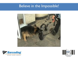 Believe in the Impossible!
 