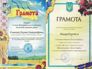 Портфоліо Гоменюк О. О.