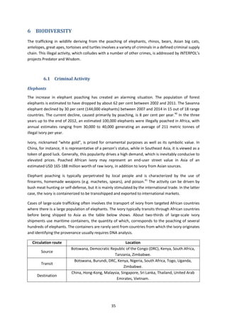 INTERPOL-UNEP Strategic Report - Environment, Peace and Security - A ...