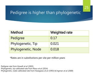 Pedigree is higher than phylogenetic
Method Weighted rate
Pedigree 0.17
Phylogenetic, Tip 0.021
Phylogenetic, Node 0.018
25
Pedigree rate from Howell et al. (2003)
Phylogenetic, tip-calibrated rate from Rieux et al. (2014)
Phylogenetic, node-calibrated rate from Hasegawa et al. (1993) & Ingman et al. (2000)
*Rates are in substitutions per site per million years
 