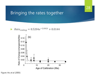 Bringing the rates together
 𝑅𝑎𝑡𝑒 𝑐𝑜𝑑𝑖𝑛𝑔 = 0.5204𝑒−2.042𝑡 + 0.0144
28
Figure: Ho et al. (2005)
 