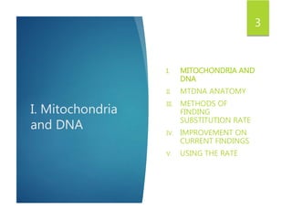 I. Mitochondria
and DNA
I. MITOCHONDRIA AND
DNA
II. MTDNA ANATOMY
III. METHODS OF
FINDING
SUBSTITUTION RATE
IV. IMPROVEMENT ON
CURRENT FINDINGS
V. USING THE RATE
3
 