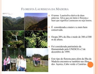 FLORESTA LAURISILVA DA MADEIRA
                    O termo Laurissilva deriva de duas
                     palavras Silva que em latim é floresta e
                     lauri que significa Lauraceas ou seja louros.

                    É considerada a maior e a mais bem
                     conservada.

                    Ocupa 20% da ilha e mede de 300 a1300
                     m de altura.

                    Foi considerada património da
                     Humanidade pela UNESCO a 2 de
                     dezembro de 1999.

                    Este tipo de floresta para além da Ilha da
                     Madeira encontra-se também nas ilhas
                     dos Açores, Cabo verde e Canárias.
 