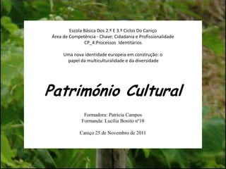Escola Básica Dos 2.º E 3.º Ciclos Do Caniço
 Área de Competência - Chave: Cidadania e Profissionalidade
                CP_4:Processos Identitários

      Uma nova identidade europeia em construção: o
       papel da multiculturalidade e da diversidade




Património Cultural
                Formadora: Patrícia Campos
               Formanda: Lucília Bonito nº10

              Caniço 25 de Novembro de 2011
 