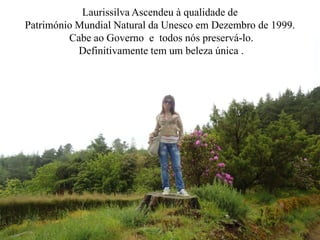 Laurissilva Ascendeu à qualidade de
Património Mundial Natural da Unesco em Dezembro de 1999.
         Cabe ao Governo e todos nós preservá-lo.
           Definitivamente tem um beleza única .
 