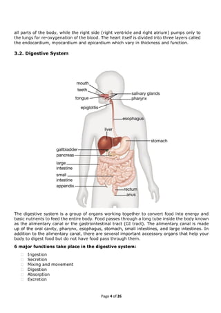 Elementary First Aid(EFA)