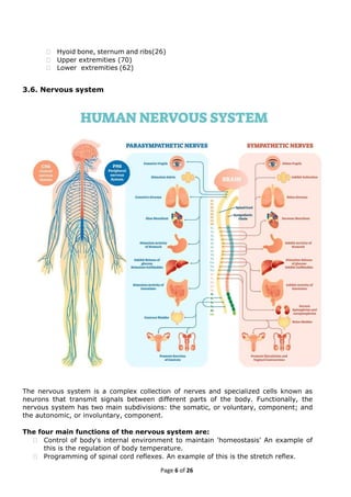 Elementary First Aid(EFA)